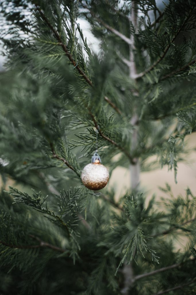 Christmas with Abercrombie & Fitch Tree farm cream cable knit turtleneck high rise super skinny jeans G.H. Bass & Co Duck boots blogger winter street style // Charleston Fashion Blogger Dannon Almost Happening 