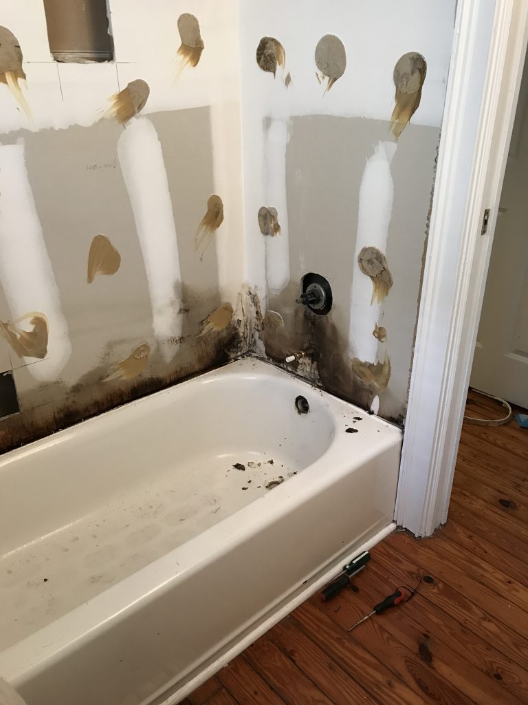 Guest Bath Process Clawfoot Tub Historic Downtown Home renovation bathroom hardwood white mid century Charleston Fashion Blogger Dannon K. Collard Almost Happening
