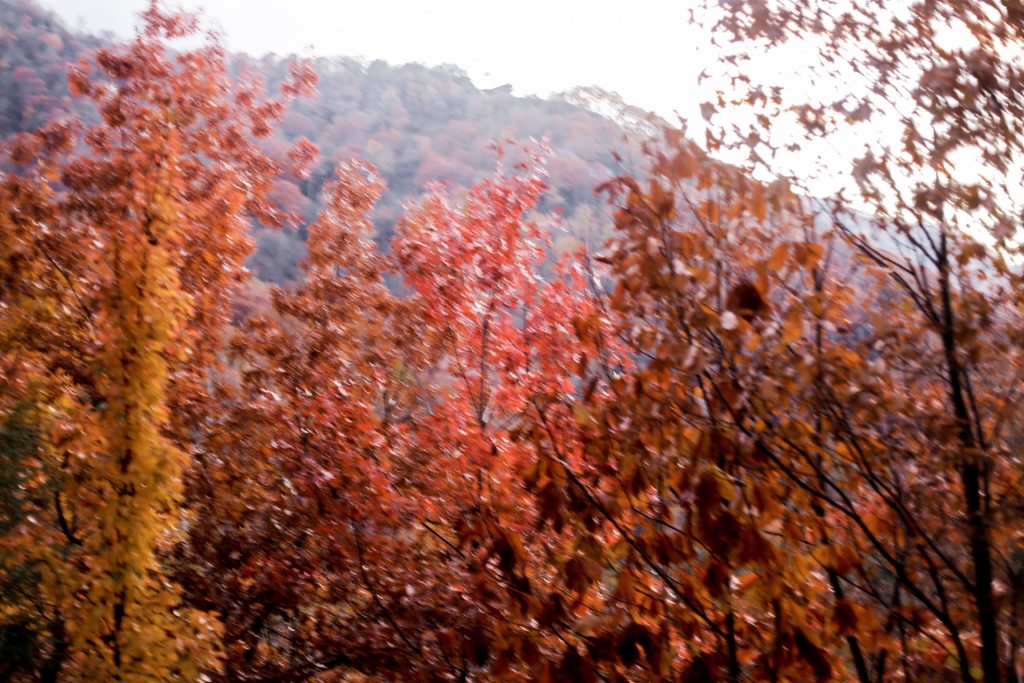 Fall in Maggie Valley white gray sweater poncho wrap Target skinny jeans cognac ankle boots white turtleneck autumn Maggie Valley NC fall 2017 street style Charleston Fashion Blogger Dannon Almost Happening 