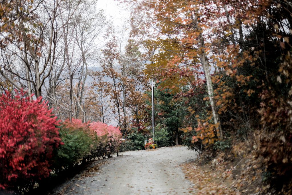 Fall in Maggie Valley white gray sweater poncho wrap Target skinny jeans cognac ankle boots white turtleneck autumn Maggie Valley NC fall 2017 street style Charleston Fashion Blogger Dannon Almost Happening 