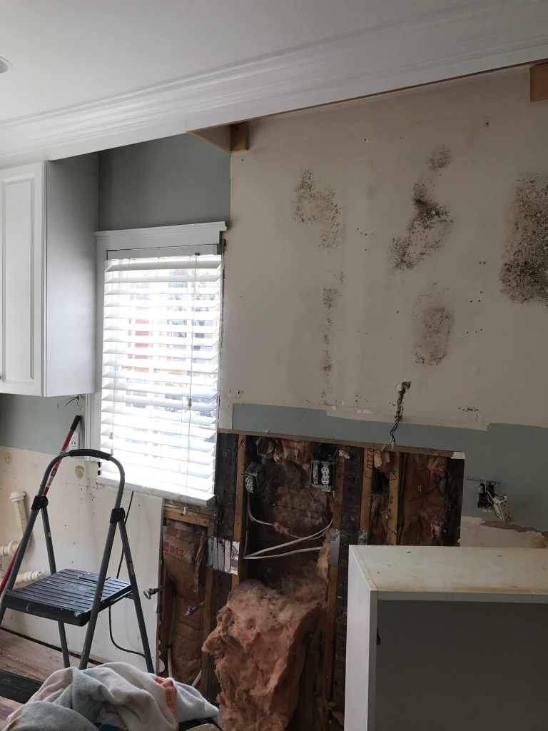 Downtown Kitchen Reveal // Charleston Fashion Blogger Dannon K. Collard Almost Happening Home renovation